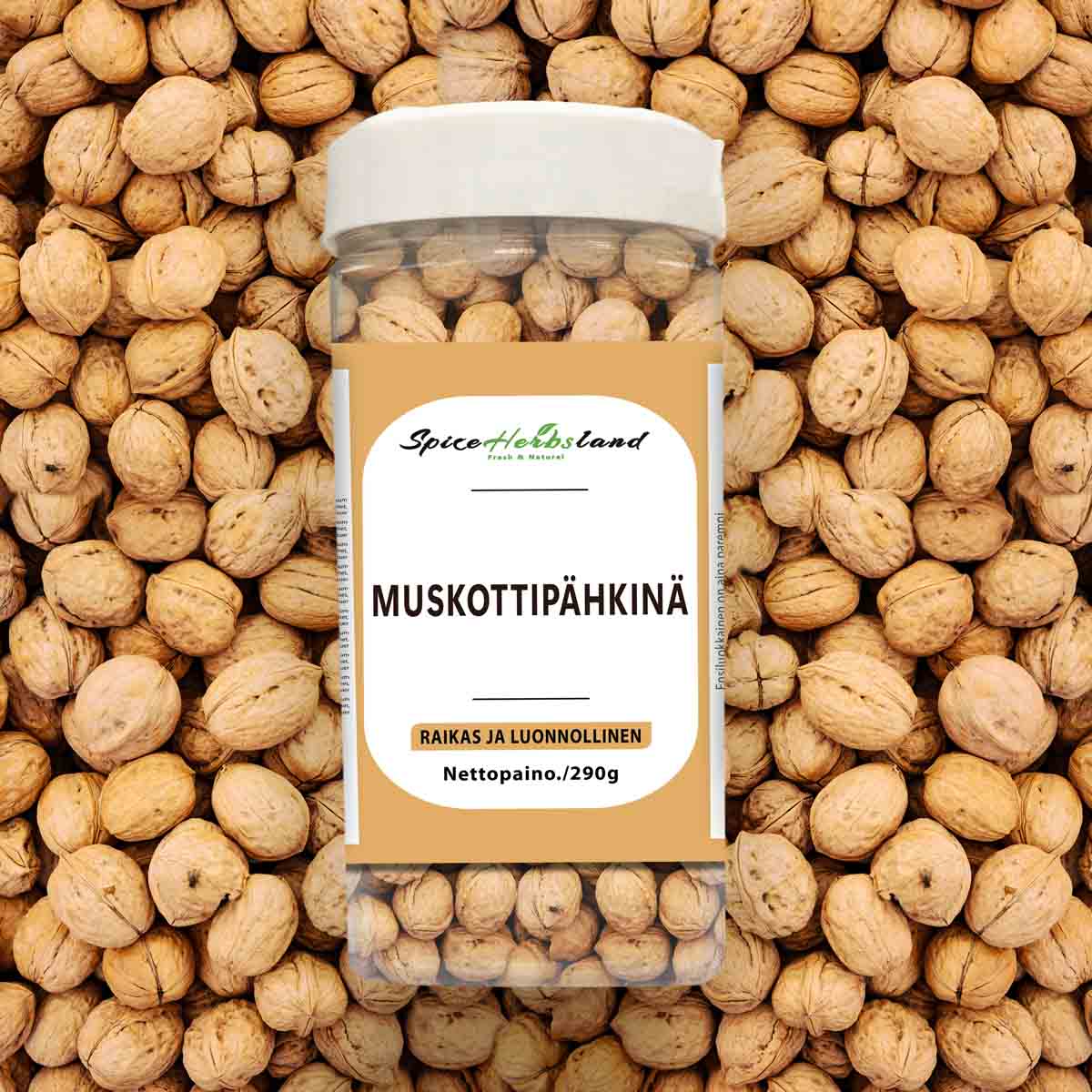 Muskottipähkinä