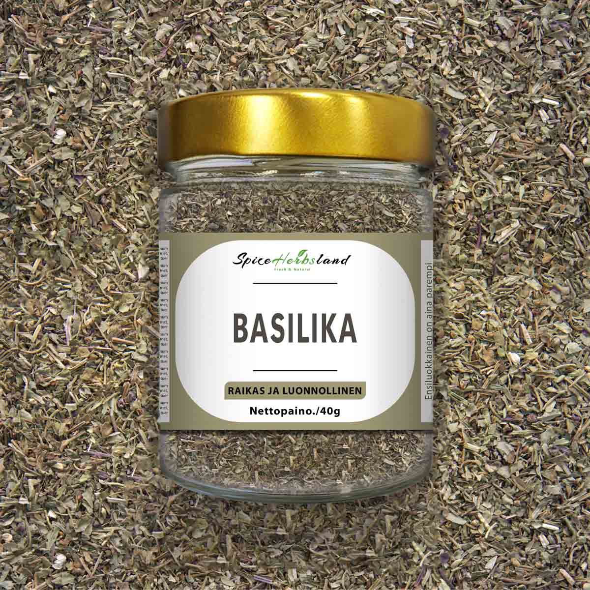 Basilika