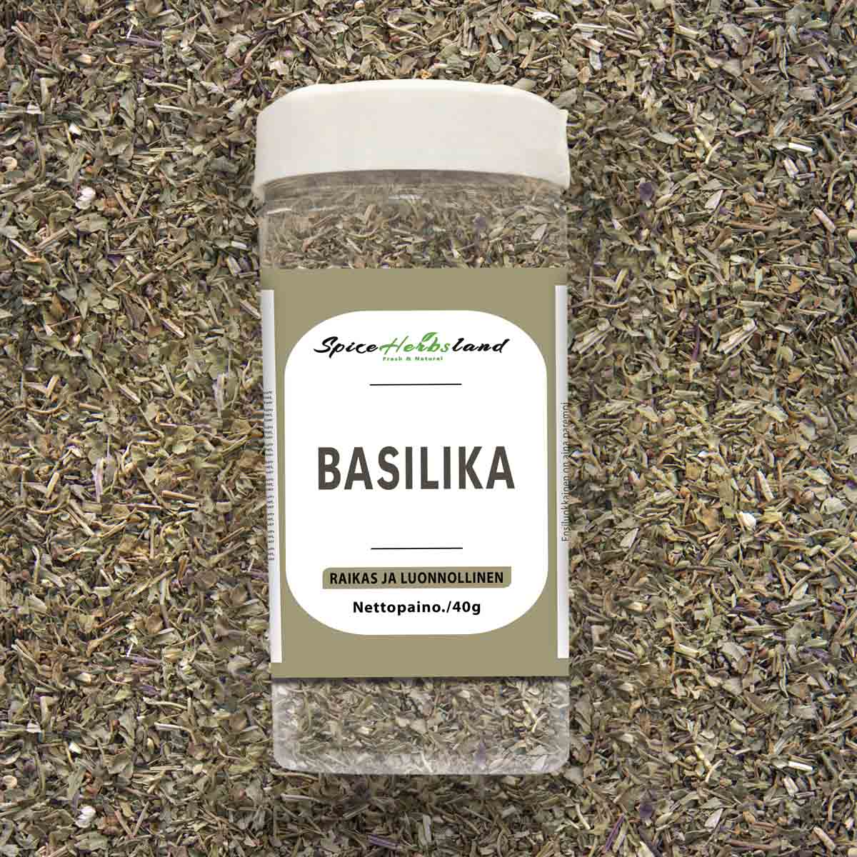 Basilika