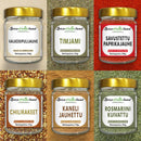 Grundkollektion - förpackning med 6 stycken