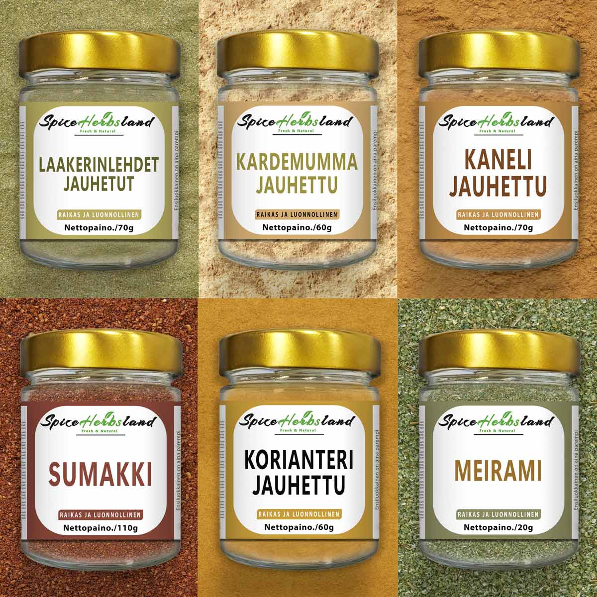 Middle Eastern Spice Collection - 6-piece set