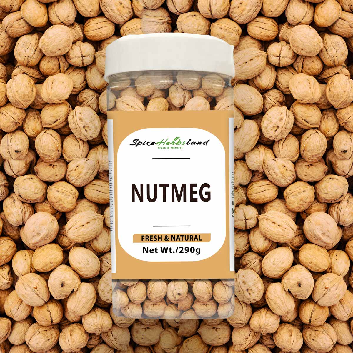 Nutmeg_SH18_P