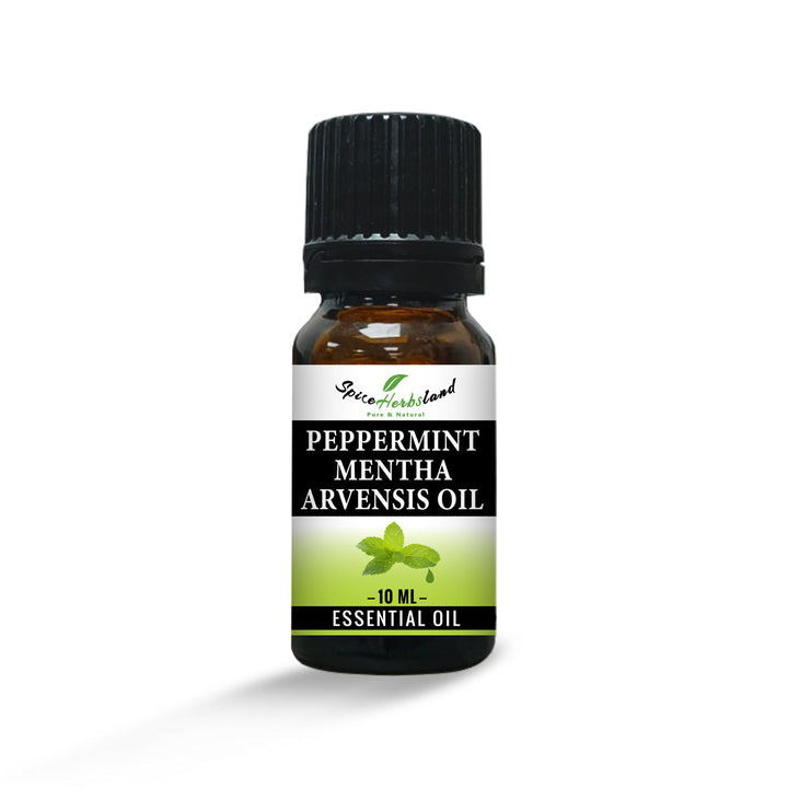 Peppermint_Mentha_Arvensis_Oil_E013