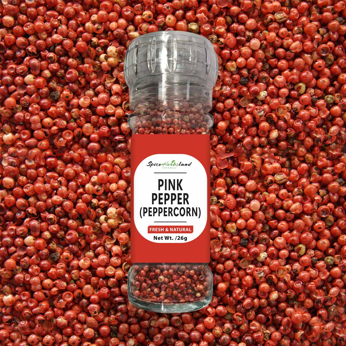 Pink_pepper_peppercorn_SH25_G