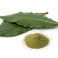 Bay_leaves_ground_Laurel_leaves_1