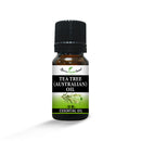 Tea_Tree_Australian_Oil_E03